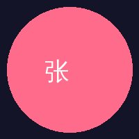 国产精品张导演